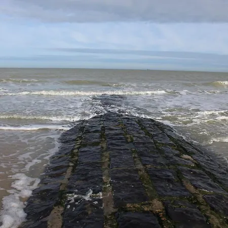 Zeedijk - Frontaal Zeezicht Blankenberge