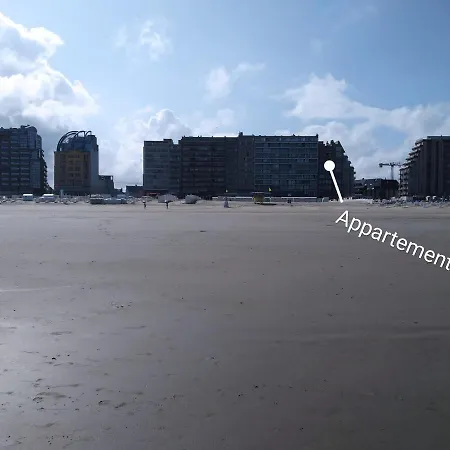 Zeedijk - Frontaal Zeezicht Blankenberge